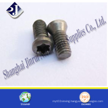 Carbon Steel or Stainless Steel T8 Torx Screw